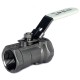 BSP PN69 Stainless Steel 1 Piece Ball Valve 316 BSP PN69 Stainless Steel 1 Piece Ball Valve 316