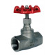 BSP PN16 Globe Valve 316 BSP PN16 Globe Valve 316