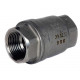 BSP PN82 Spring Check Valve 316 BSP PN82 Spring Check Valve 316